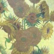 ヒメ日記 2025/09/21 17:57 投稿 らむ ふわふわコレクション川越店