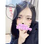 ヒメ日記 2026/03/24 00:58 投稿 せな ちゃんこ大阪伊丹空港豊中店