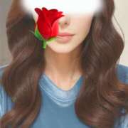 ヒメ日記 2025/11/20 12:42 投稿 キャビン カクテル(岡山)