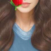 ヒメ日記 2025/12/17 12:33 投稿 キャビン カクテル(岡山)