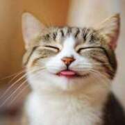 ヒメ日記 2026/01/21 18:48 投稿 キャビン カクテル(岡山)