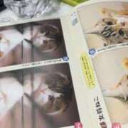 ヒメ日記 2026/02/23 00:18 投稿 キャビン カクテル(岡山)