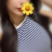 ヒメ日記 2026/04/04 20:33 投稿 キャビン カクテル(岡山)