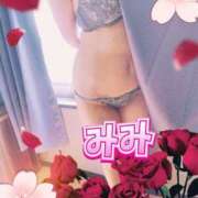 ヒメ日記 2025/09/24 07:00 投稿 みみ 素人妻達☆マイふぇらレディー