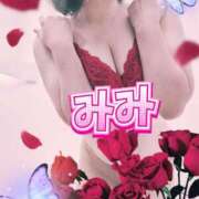 ヒメ日記 2025/09/24 13:00 投稿 みみ 素人妻達☆マイふぇらレディー