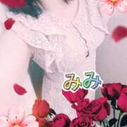 ヒメ日記 2025/09/28 14:30 投稿 みみ 素人妻達☆マイふぇらレディー