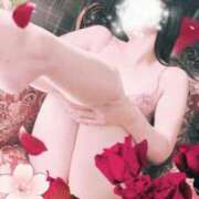 ヒメ日記 2025/09/28 15:28 投稿 みみ 素人妻達☆マイふぇらレディー