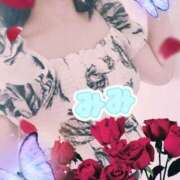 ヒメ日記 2025/10/15 07:00 投稿 みみ 素人妻達☆マイふぇらレディー