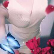 ヒメ日記 2025/10/28 11:30 投稿 みみ 素人妻達☆マイふぇらレディー