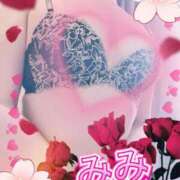 ヒメ日記 2025/11/08 07:00 投稿 みみ 素人妻達☆マイふぇらレディー