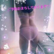 ヒメ日記 2025/11/22 09:31 投稿 みみ 素人妻達☆マイふぇらレディー