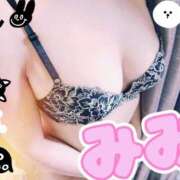 ヒメ日記 2025/11/24 07:00 投稿 みみ 素人妻達☆マイふぇらレディー