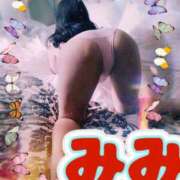 みみ [お題]♡ 素人妻達☆マイふぇらレディー