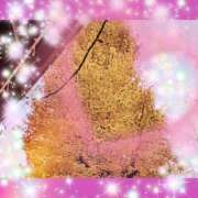 ヒメ日記 2025/12/15 17:47 投稿 みみ 素人妻達☆マイふぇらレディー