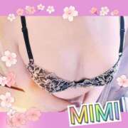 ヒメ日記 2026/02/25 13:18 投稿 みみ 素人妻達☆マイふぇらレディー