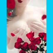 ヒメ日記 2026/04/26 12:02 投稿 みみ 素人妻達☆マイふぇらレディー