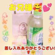 ヒメ日記 2026/06/30 12:18 投稿 みみ 素人妻達☆マイふぇらレディー