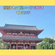 ヒメ日記 2026/07/22 12:18 投稿 みみ 素人妻達☆マイふぇらレディー
