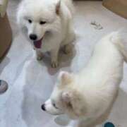 ヒメ日記 2025/09/22 17:45 投稿 ありす 栃木宇都宮ちゃんこ