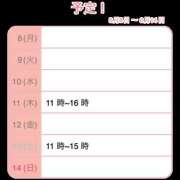 かずは 予定！ ○コキクリニック～○○クリニックシリーズ～