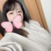 ヒメ日記 2025/11/12 10:34 投稿 はる 君とふわふわプリンセスin西川口