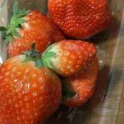 ヒメ日記 2026/02/09 22:30 投稿 くるみ☆業界完全未経験♪ いちご倶楽部