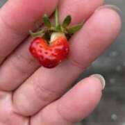 ヒメ日記 2026/02/26 19:22 投稿 くるみ☆業界完全未経験♪ いちご倶楽部