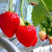 ヒメ日記 2026/02/27 19:52 投稿 くるみ☆業界完全未経験♪ いちご倶楽部