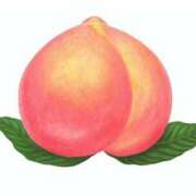 ヒメ日記 2025/10/12 15:03 投稿 りな(Rina) 出張メンズエステ RELAX【DIVAグループ】