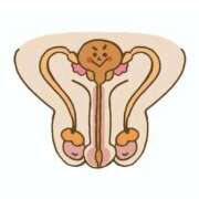 ヒメ日記 2025/11/25 16:08 投稿 りな(Rina) 出張メンズエステ RELAX【DIVAグループ】