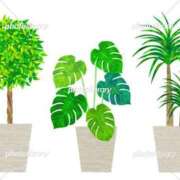 ヒメ日記 2025/11/26 13:57 投稿 りな(Rina) 出張メンズエステ RELAX【DIVAグループ】