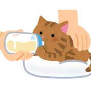 ヒメ日記 2025/11/29 16:01 投稿 りな(Rina) 出張メンズエステ RELAX【DIVAグループ】