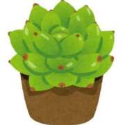 ヒメ日記 2025/12/17 17:03 投稿 りな(Rina) 出張メンズエステ RELAX【DIVAグループ】