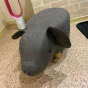 ヒメ日記 2025/12/27 15:07 投稿 りな(Rina) 出張メンズエステ RELAX【DIVAグループ】