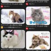 ヒメ日記 2026/01/25 17:05 投稿 りな(Rina) 出張メンズエステ RELAX【DIVAグループ】