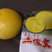 ヒメ日記 2026/01/26 14:32 投稿 りな(Rina) 出張メンズエステ RELAX【DIVAグループ】