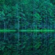 ヒメ日記 2026/02/21 17:48 投稿 りな(Rina) 出張メンズエステ RELAX【DIVAグループ】