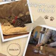 ヒメ日記 2026/03/05 15:43 投稿 りな(Rina) 出張メンズエステ RELAX【DIVAグループ】