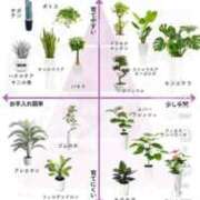 ヒメ日記 2026/03/14 16:32 投稿 りな(Rina) 出張メンズエステ RELAX【DIVAグループ】