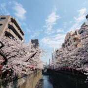 ヒメ日記 2026/04/10 23:33 投稿 りな(Rina) 出張メンズエステ RELAX【DIVAグループ】