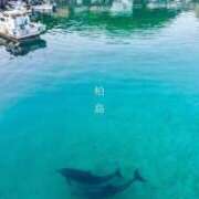 ヒメ日記 2026/10/09 16:41 投稿 りな(Rina) 出張メンズエステ RELAX【DIVAグループ】