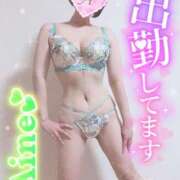 ヒメ日記 2025/10/24 11:26 投稿 愛音あおい 五十路マダム静岡店（カサブランカG）