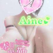 ヒメ日記 2025/11/10 10:02 投稿 愛音あおい 五十路マダム静岡店（カサブランカG）