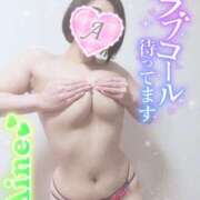 ヒメ日記 2026/02/21 15:46 投稿 愛音あおい 五十路マダム静岡店（カサブランカG）