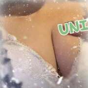 ヒメ日記 2026/01/17 12:15 投稿 うに 豊満奉仕倶楽部