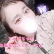 ヒメ日記 2025/09/26 07:21 投稿 もえ エンジェルマスカット