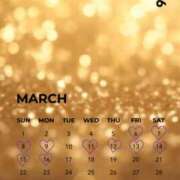 ヒメ日記 2026/03/05 00:51 投稿 もえ エンジェルマスカット