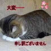 ヒメ日記 2025/10/15 11:15 投稿 さくら 千葉人妻花壇