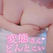 ヒメ日記 2025/10/03 19:00 投稿 ルリ 名古屋デッドボール