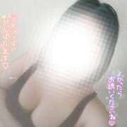 ヒメ日記 2025/11/23 06:59 投稿 ルリ 名古屋デッドボール